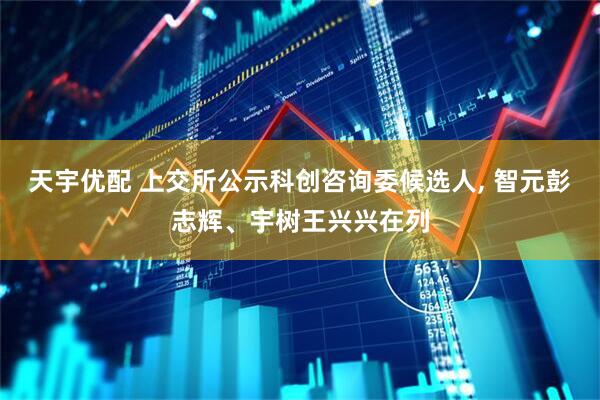 天宇优配 上交所公示科创咨询委候选人, 智元彭志辉、宇树王兴兴在列