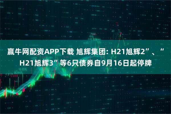 赢牛网配资APP下载 旭辉集团: H21旭辉2”、“H21旭辉3”等6只债券自9月16日起停牌